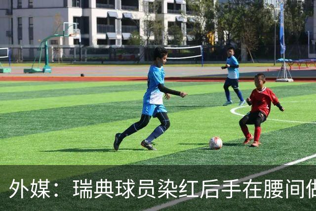 外媒：瑞典球员染红后手在腰间做不雅动作，可能被追加禁赛