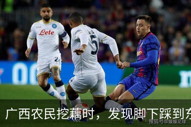 广西农民挖藕时，发现脚下踩到东西，众人合力将其挖出后全都傻眼