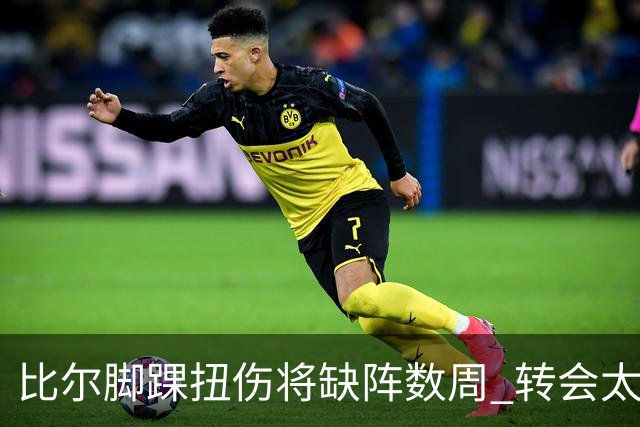 比尔脚踝扭伤将缺阵数周 转会太阳后仅出战6场
